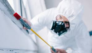 Best Fumigation Services  in Pendleton, OR